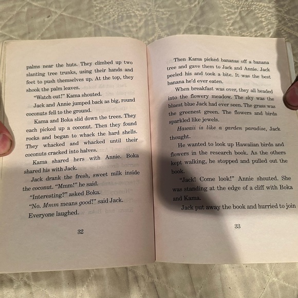 High tide in Hawaii- Magic treehouse #28 - Picture 5 of 9